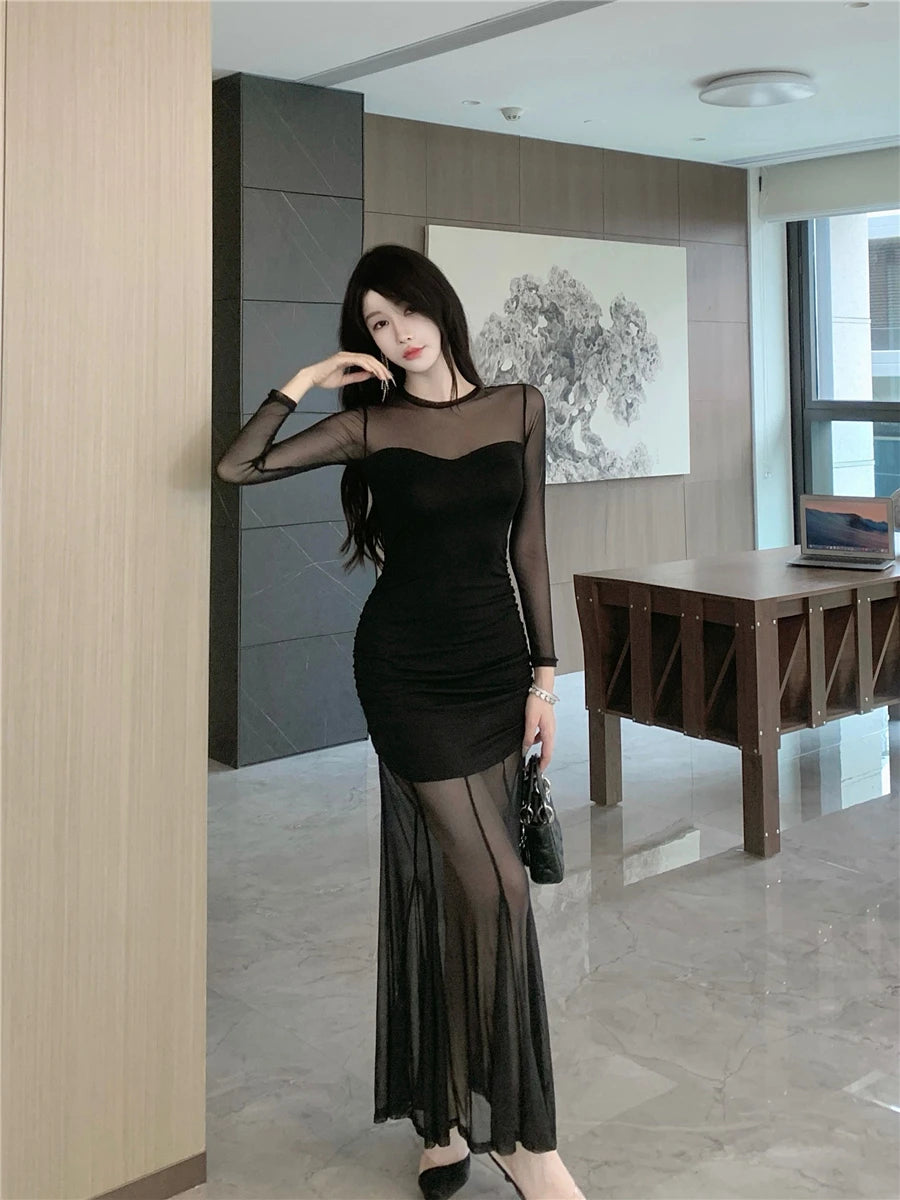 black mesh flowy dress Sunflower Black Mesh Maxi Dress - US 0 main image 1